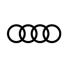 Rittenregistratie Audi ev